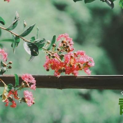 水花乱舞青春少女大暴走游戏下载